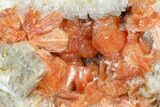 Red-Orange Stilbite Crystal Cluster with Laumontite - Peru #173295-1